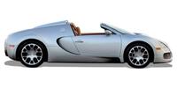 Каталітичний нейтралізатор Bugatti Veyron EB 16.4