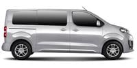 Панелі, накладки та молдинги кузова Peugeot Traveller