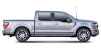 Фильтр салона Ford USA F-150 Extended Cab Pickup EXTENDED CAB PICKUP