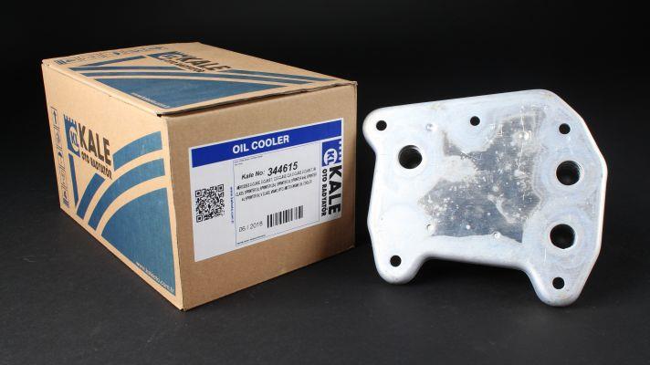 Купить Kale Oto Radiator 344615 по низкой цене в Украине!