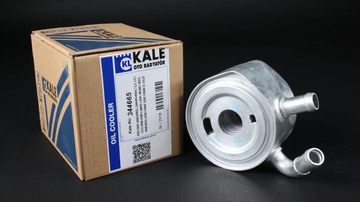 Купить Kale Oto Radiator 344665 по низкой цене в Украине!