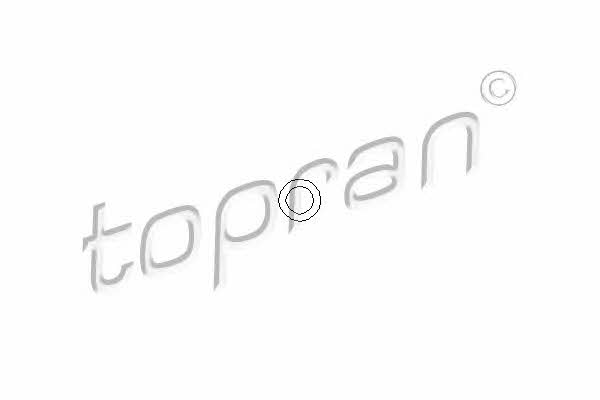 Topran 200 927 Кільце ущільнювальне 200927: Купити в Україні - Добра ціна на EXIST.UA!