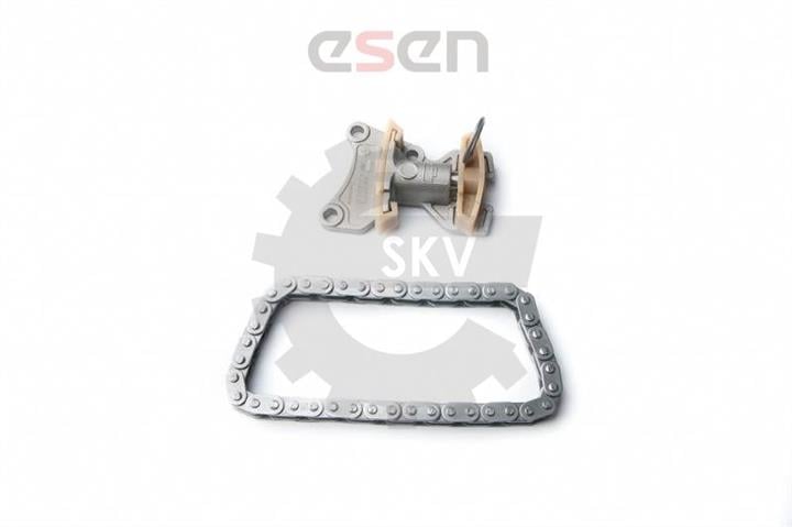 Esen SKV 21SKV020 Комплект ланцюга ГРМ 21SKV020: Приваблива ціна - Купити в Україні на EXIST.UA!