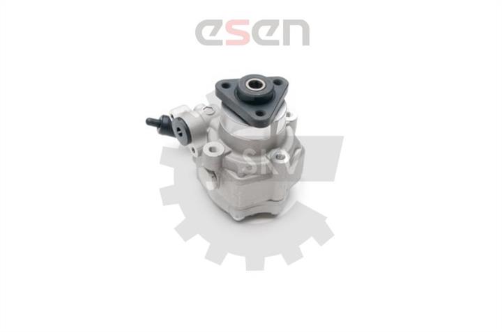 Купить Esen SKV 10SKV193 – отличная цена на EXIST.UA!