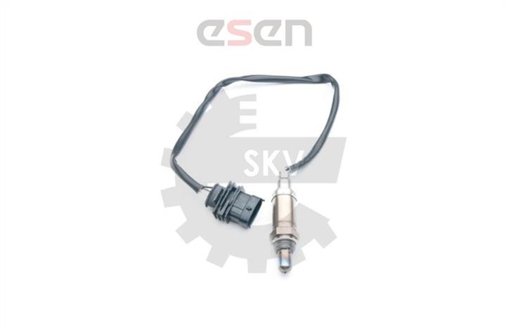 Купити Esen SKV 09SKV669 – суперціна на EXIST.UA!