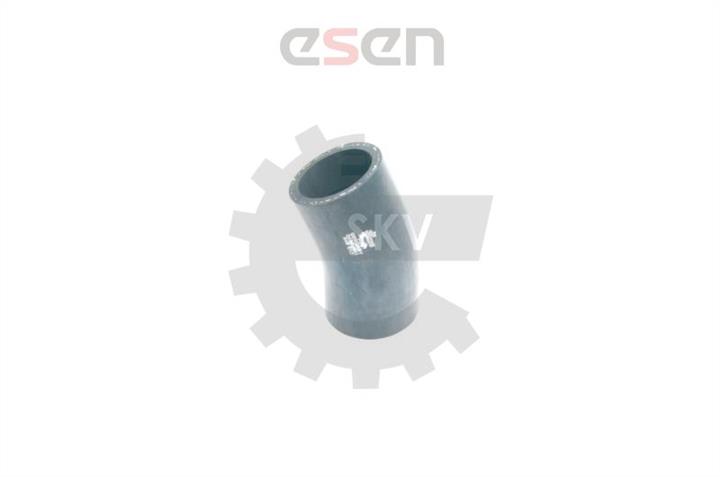 Купити Esen SKV 24SKV061 за низькою ціною в Україні!