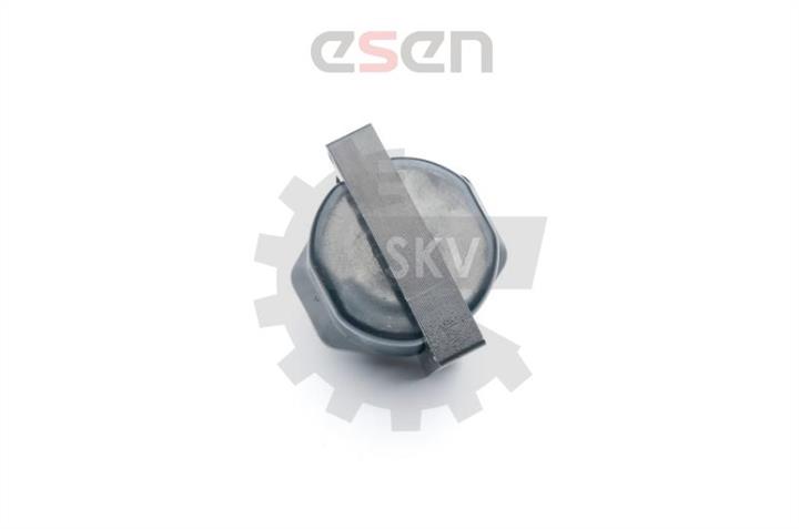 Катушка зажигания Esen SKV 03SKV253