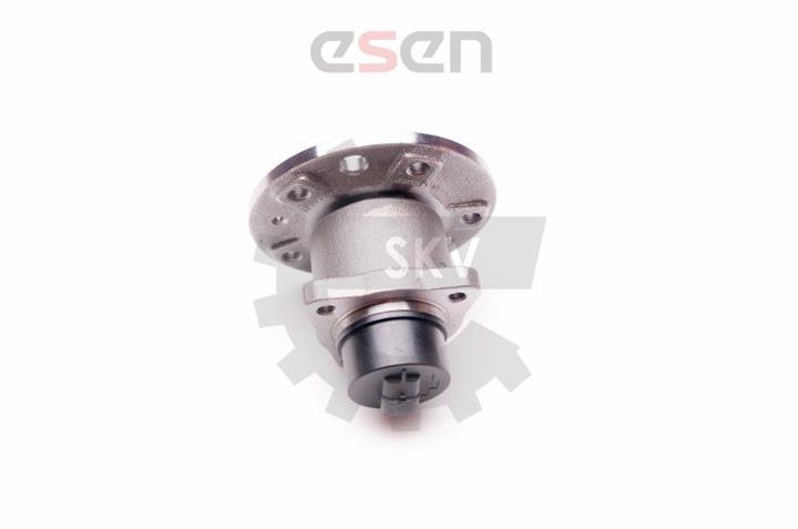 Купить Esen SKV 29SKV018 – отличная цена на EXIST.UA!