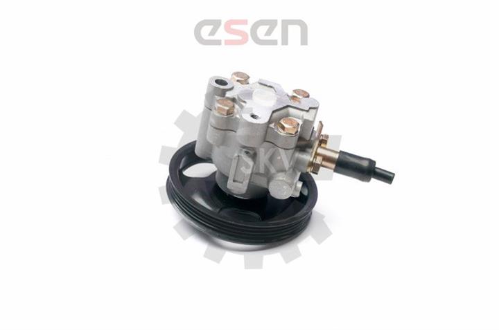 Купить Esen SKV 10SKV228 – отличная цена на EXIST.UA!