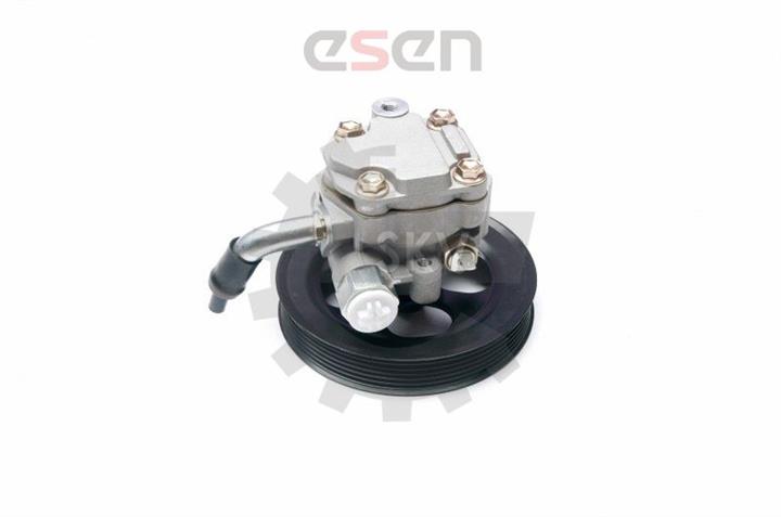 Купить Esen SKV 10SKV216 по низкой цене в Украине!