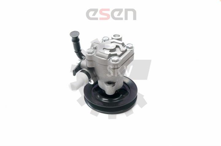 10SKV200 Esen SKV Насос гидроусилителя руля