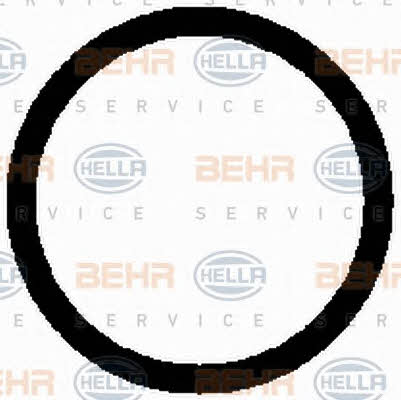 Behr-Hella 8FK 351 098-521 Компресор кондиціонера 8FK351098521: Купити в Україні - Добра ціна на EXIST.UA!