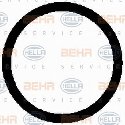 Behr-Hella 8FK 351 126-231 Компресор кондиціонера 8FK351126231: Купити в Україні - Добра ціна на EXIST.UA!
