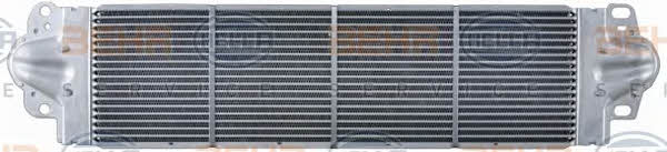 Купить Behr-Hella 8ML 376 723-511 по низкой цене в Украине!