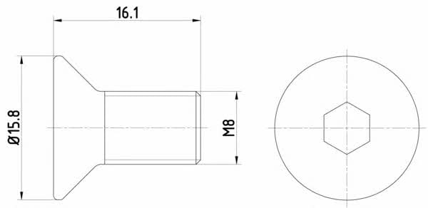 8DZ355209061 Hella-Pagid Болт крепления тормозного диска