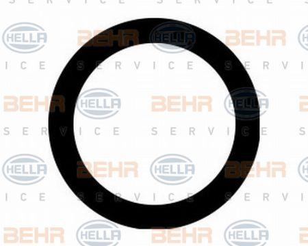 Behr-Hella 9GR 351 289-911 Кільця ущільнюючі, комплект 9GR351289911: Купити в Україні - Добра ціна на EXIST.UA!