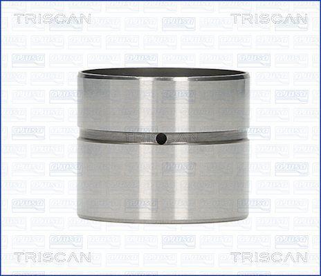 Triscan 80-29005 Гідрокомпенсатор 8029005: Приваблива ціна - Купити в Україні на EXIST.UA!