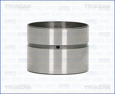Triscan 80-29007 Гідрокомпенсатор 8029007: Купити в Україні - Добра ціна на EXIST.UA!