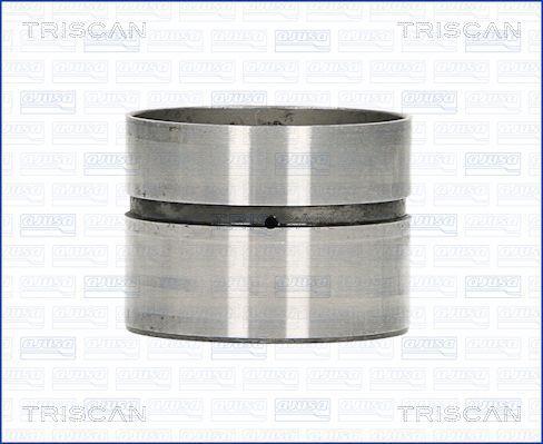 Triscan 80-29010 Гідрокомпенсатор 8029010: Купити в Україні - Добра ціна на EXIST.UA!