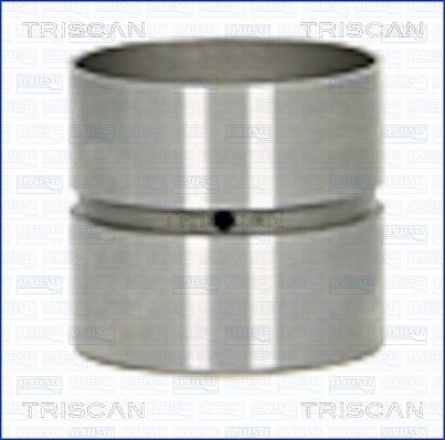 Triscan 80-25007 Гідрокомпенсатор 8025007: Купити в Україні - Добра ціна на EXIST.UA!