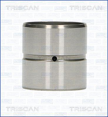 Triscan 80-29001 Гідрокомпенсатор 8029001: Купити в Україні - Добра ціна на EXIST.UA!