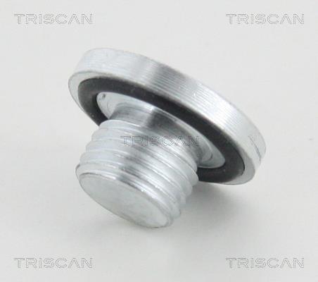 Triscan 95-0966 Пробка піддону 950966: Купити в Україні - Добра ціна на EXIST.UA!