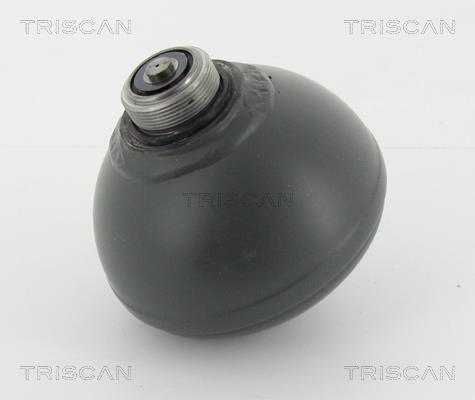 Triscan 8760 38228 Гідроакумулятор 876038228: Купити в Україні - Добра ціна на EXIST.UA!