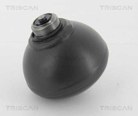 Triscan 8760 38232 Гідроакумулятор 876038232: Купити в Україні - Добра ціна на EXIST.UA!