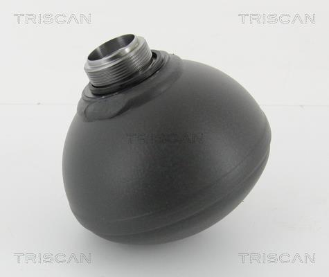Triscan 8760 38235 Гідроакумулятор 876038235: Купити в Україні - Добра ціна на EXIST.UA!