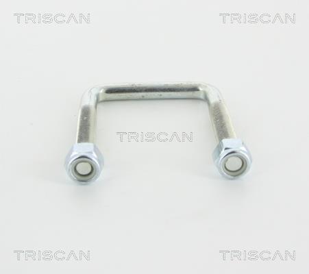 Листовая рессора Ситроен: 8765280001 Triscan Стремянка рессоры