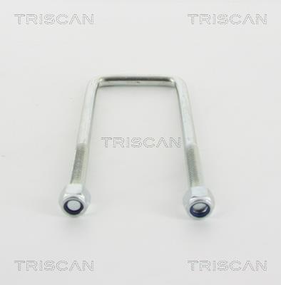 8765420001 Triscan Стремянка рессоры
