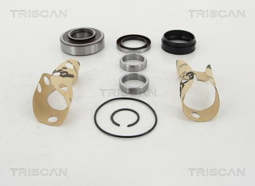 Triscan 8530 13281 Підшипник маточини колеса, комплект 853013281: Купити в Україні - Добра ціна на EXIST.UA!