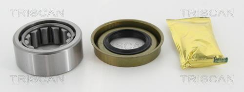 853016268 Triscan Подшипник ступицы колеса, комплект