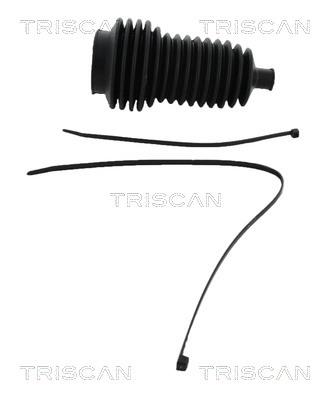 Triscan 8500 25010 Пильовик рульової рейки, комплект 850025010: Купити в Україні - Добра ціна на EXIST.UA!