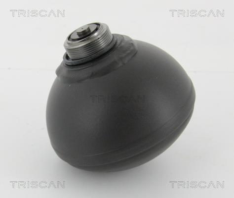 Triscan 8760 38240 Гідроакумулятор 876038240: Купити в Україні - Добра ціна на EXIST.UA!