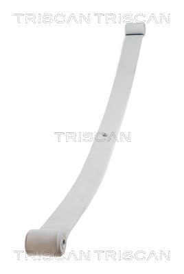 876510004 Triscan Рессора листовая