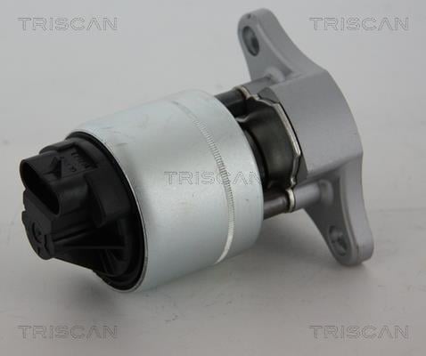 Triscan 8813 21006 Клапан рециркуляції відпрацьованих газів EGR 881321006: Приваблива ціна - Купити в Україні на EXIST.UA!