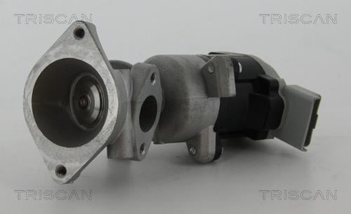 881317020 Triscan Клапан рециркуляции отработанных газов EGR