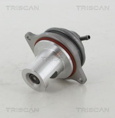 Triscan 8813 23207 Клапан рециркуляції відпрацьованих газів EGR 881323207: Купити в Україні - Добра ціна на EXIST.UA!