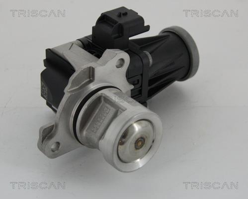 Triscan 8813 28005 Клапан рециркуляції відпрацьованих газів EGR 881328005: Купити в Україні - Добра ціна на EXIST.UA!