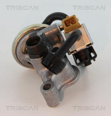Triscan 8813 23005 Клапан рециркуляції відпрацьованих газів EGR 881323005: Купити в Україні - Добра ціна на EXIST.UA!
