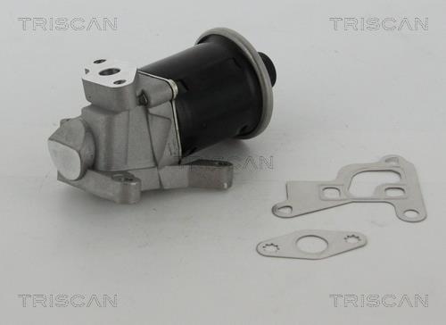Triscan 8813 29100 Клапан рециркуляції відпрацьованих газів EGR 881329100: Купити в Україні - Добра ціна на EXIST.UA!