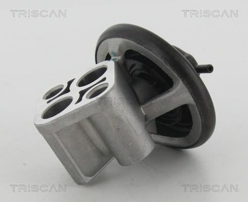 Triscan 8813 43007 Клапан рециркуляції відпрацьованих газів EGR 881343007: Купити в Україні - Добра ціна на EXIST.UA!