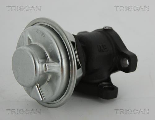 Triscan 8813 43022 Клапан рециркуляції відпрацьованих газів EGR 881343022: Купити в Україні - Добра ціна на EXIST.UA!