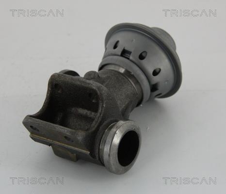 881328013 Triscan Клапан рециркуляції відпрацьованих газів EGR