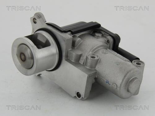 Triscan 8813 29002 Клапан рециркуляції відпрацьованих газів EGR 881329002: Купити в Україні - Добра ціна на EXIST.UA!