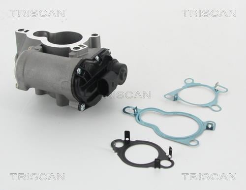 Triscan 8813 25010 Клапан рециркуляції відпрацьованих газів EGR 881325010: Купити в Україні - Добра ціна на EXIST.UA!