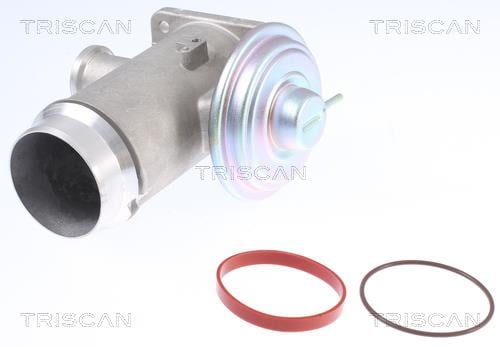Triscan 8813 11102 Клапан рециркуляції відпрацьованих газів EGR 881311102: Купити в Україні - Добра ціна на EXIST.UA!