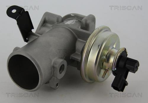Triscan 8813 16200 Клапан рециркуляції відпрацьованих газів EGR 881316200: Купити в Україні - Добра ціна на EXIST.UA!