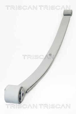 876510007 Triscan Рессора листовая